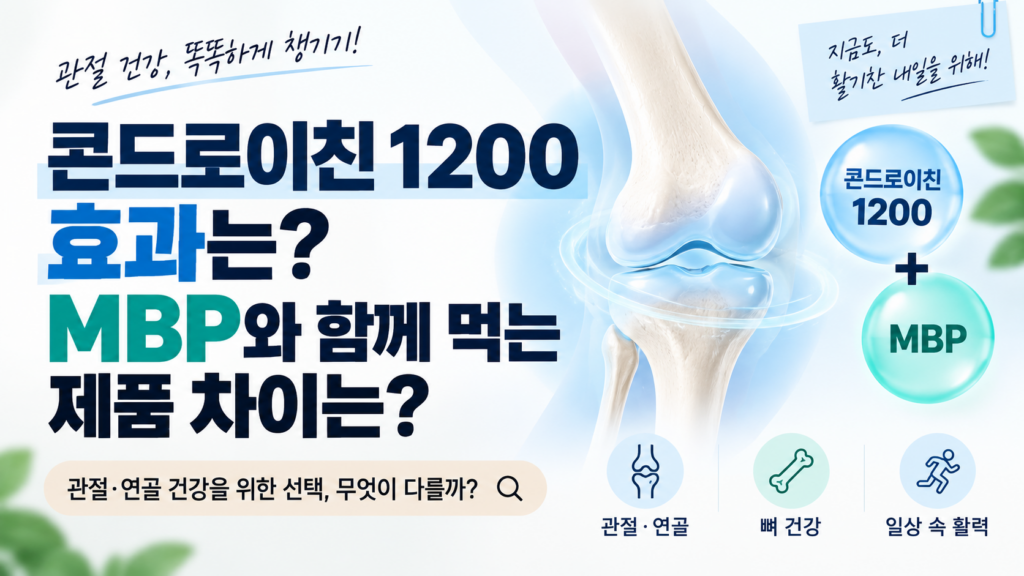 콘드로이친썸네일