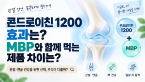 콘드로이친 1200 효과 I MBP와 함께 먹는 제품 차이는? 10 콘드로이친썸네일
