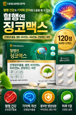 대마도 당일치기 가능할까? 부산 배편 시간·히타카츠 여행코스·비용 총정리 4 image 16