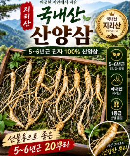 산양삼 먹는법과 효능 총정리|산삼·인삼 차이, 보관법과 섭취 주의사항 2 image 5