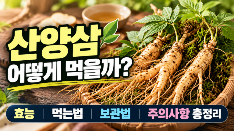 산양삼 먹는법과 효능 총정리|산삼·인삼 차이, 보관법과 섭취 주의사항 3 산양삼썸네일