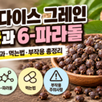 파라다이스그래인썸네일